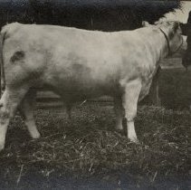 Omc1985.008.038 Image 600dpi